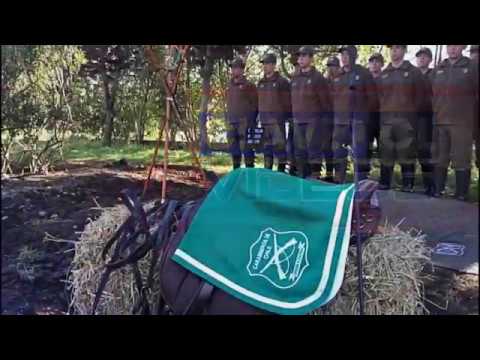 Carabineros rindió homenaje a caballo fallecido durante servicios preventivos