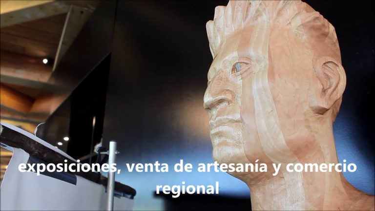 Pabellón “Amor de Chile” maravilla a sus visitantes en Temuco