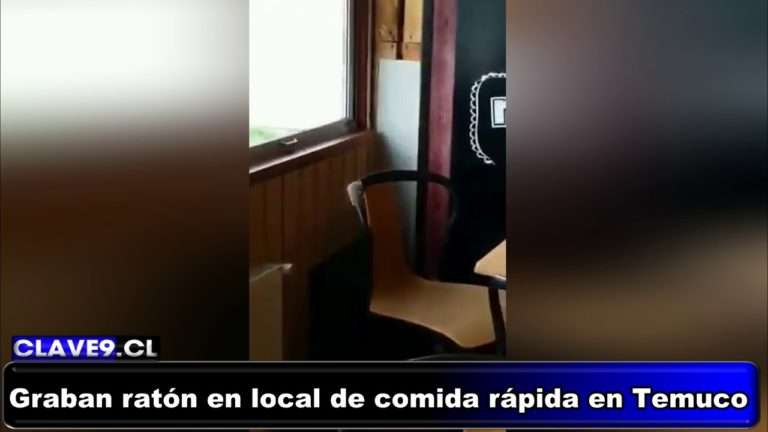 Fiscalizadores hallaron otro ratón en local de comida rápida donde se grabó video de roedor en Temuco