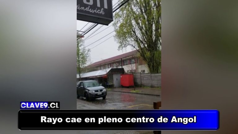 Captan caída de rayo sobre árbol en pleno centro de Angol