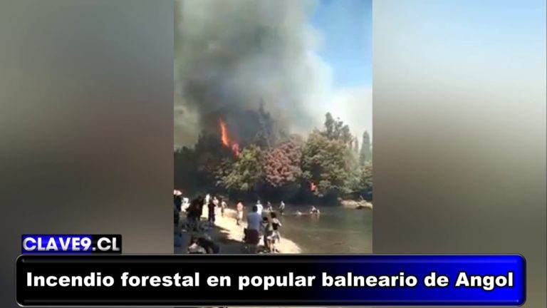 Incendio forestal causó alarma en popular balneario “La Arcadia” de Angol