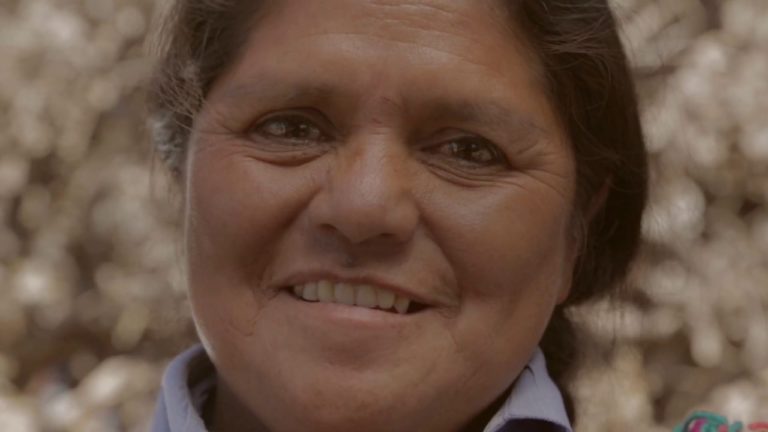 Viña San Pedro presentó vino elaborado en conjunto con comunidad mapuche de Purén