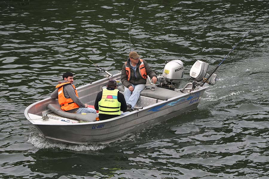 Hasta Marzo De 2021 Se Prolongara La Temporada Del Salmon Chinook En El Rio Tolten Diario Clave9 Cl