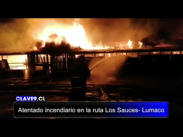 Atentado incendiario destruye vivienda, galpón y camiones en la ruta Los Sauces- Lumaco
