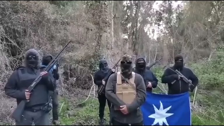 Encapuchados protagonizan toma de terrenos de Conaf y amenazan con respuesta armada si son desalojados