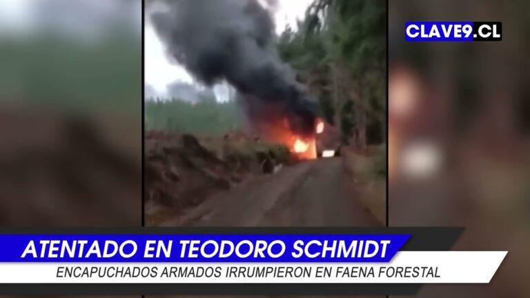 Grupo armado quemó camiones y maquinaria en sector rural de Teodoro Schmidt