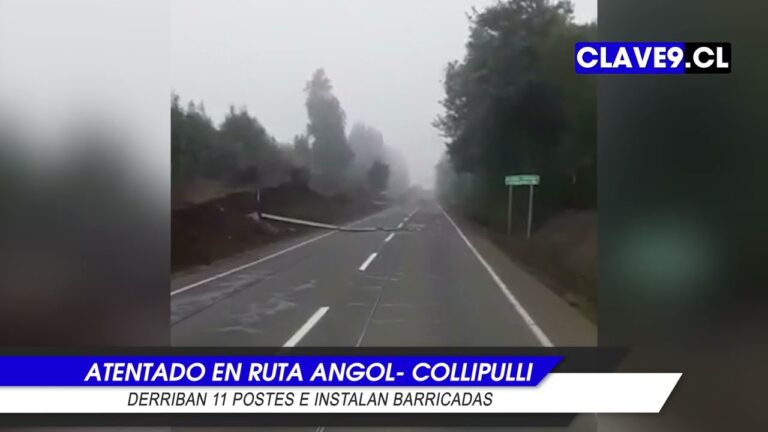 Desconocidos derribaron 11 postes eléctricos e interrumpen con barricadas la ruta Angol- Collipulli