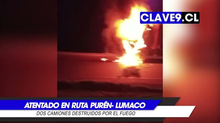 Encapuchados disparan con armas de guerra y queman dos camiones en la ruta Purén- Lumaco