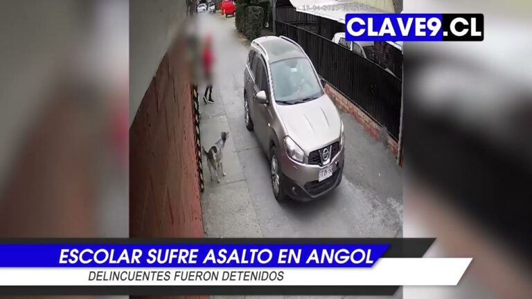 Detienen a los autores de violento intento de asalto a una escolar en Angol