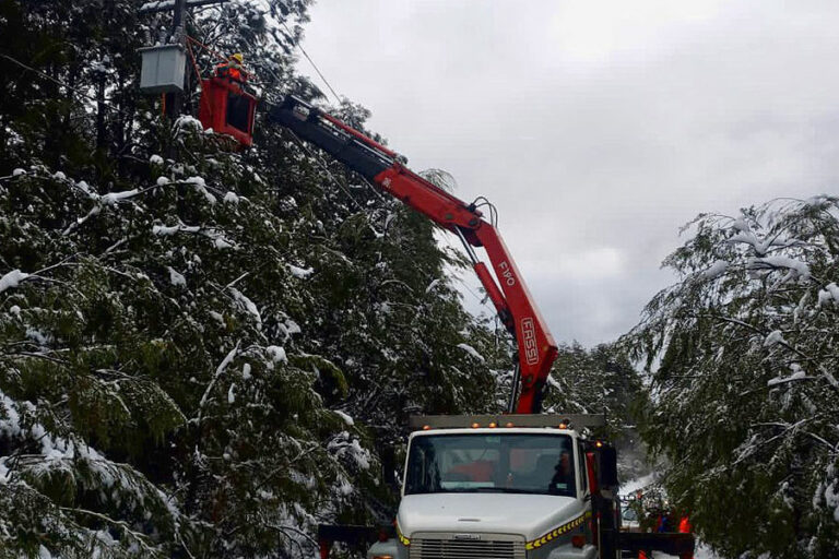 Activan plan preventivo ante lluvias y ráfagas de viento en La Araucanía