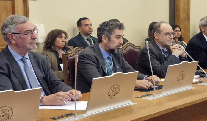 Saffirio durante la reciente sesión de la Comisión de Gobierno Interior de la Cámara de Diputados