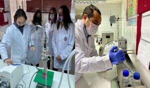 En el caso de la leche, es posible separar sus proteínas antes de procesarla y se obtiene un suero puro, sin sales y sin químicos,