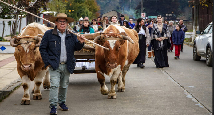 En el Día de Los Patrimonios Culturales, la historia y los habitantes de Lumaco, en el campo y en la ciudad, tienen mucho que compartir En el Día de Los Patrimonios Culturales, la historia y los habitantes de Lumaco, en el campo y en la ciudad, tienen mucho que compartir
