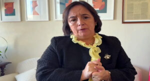 Carmen Gloria Aravena, senadora.