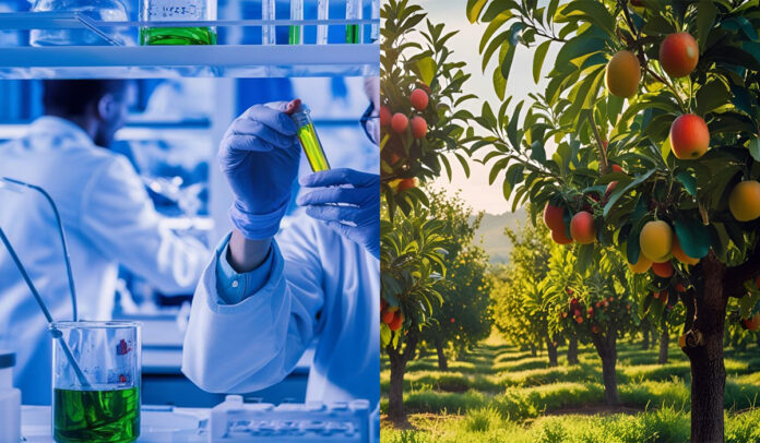 Diplomado está enfocado en quienes buscan actualizar sus conocimientos técnicos para la formulación y ejecución de proyectos frutícolas Diplomado está enfocado en quienes buscan actualizar sus conocimientos técnicos para la formulación y ejecución de proyectos frutícolas