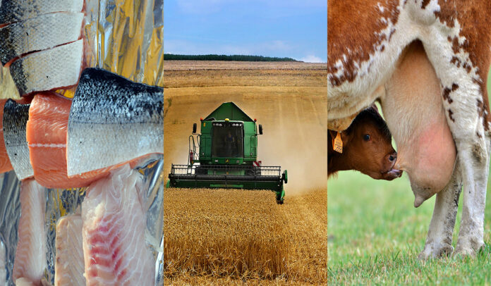 Sobre el futuro en común que tienen la agricultura y la salmonicultura dialogaron representantes de diversas organizaciones gremiales. Sobre el futuro en común que tienen la agricultura y la salmonicultura dialogaron representantes de diversas organizaciones gremiales.
