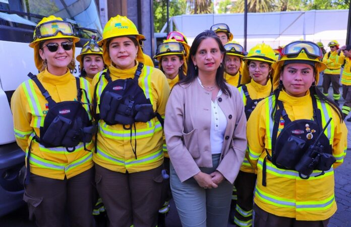 Araucanía_28-10-2025_3