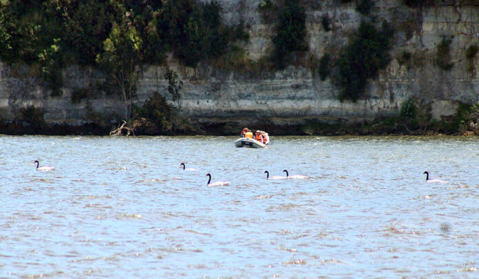 Inspeccion-SAg-Dominguez-003