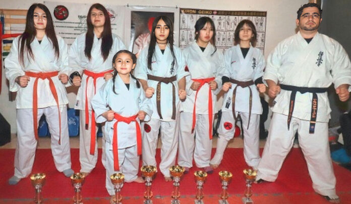 dojo