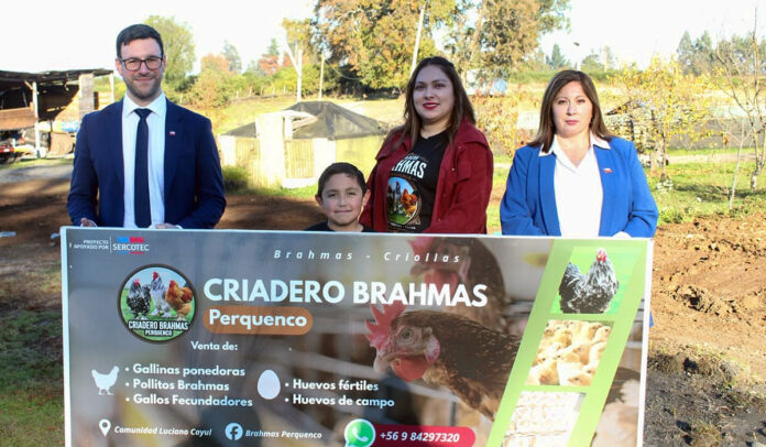 CRIADERO