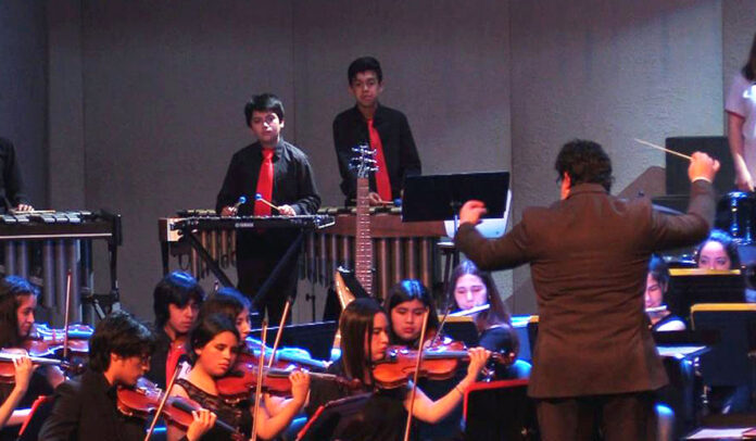 musicos