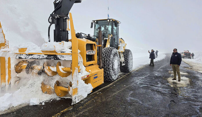 nieve